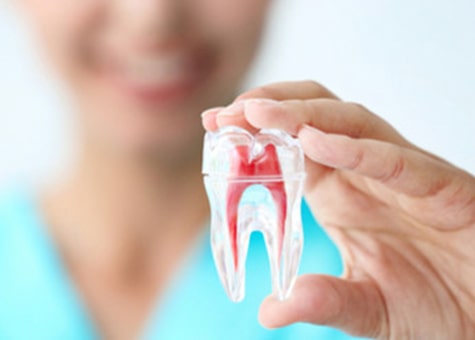 Endodontia